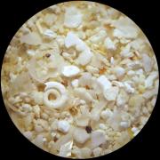 Bahamas - Ile Eleuthera