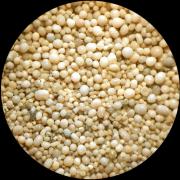 Grand lac salé Utah 