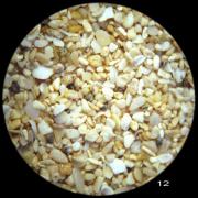 Canaries - Fuerteventura