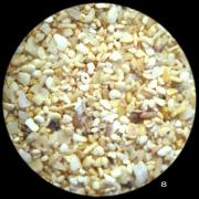 Canaries - Fuerteventura