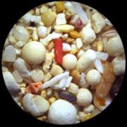 Bali - Padang Padang