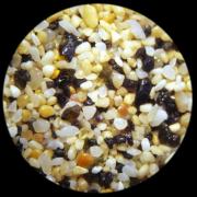 Cap Vert - Boa Vista