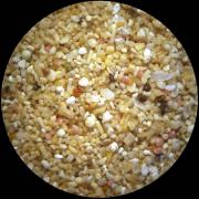 Cuba - Playa del Este