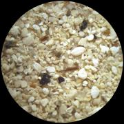 Italie - San Teodoro