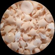 Japon - Ile Taletomi